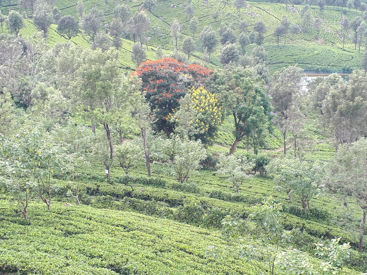 Apartamento Woods Hut Nuwara Eliya Exterior foto